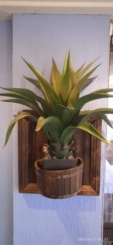 Planta com cachepô rústico