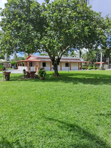 Imóvel para venda com 300 metros quadrados com 4 quartos em Centro - Conceição do Jacuípe