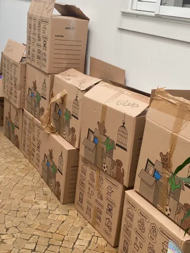 Caixa mudança usada 