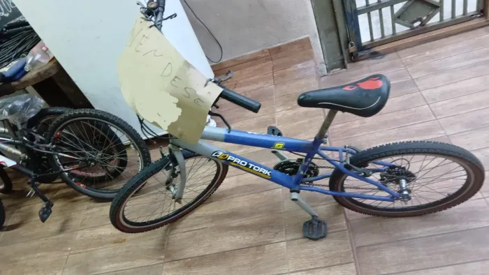 Bicicleta