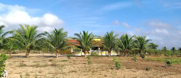 Sítio à venda 