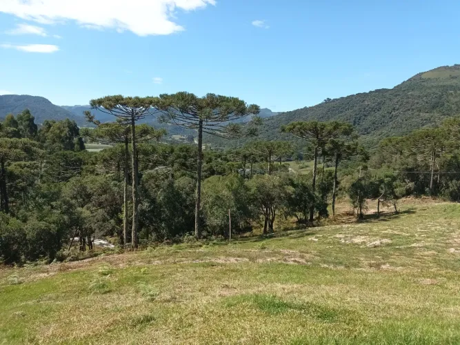 Terreno SC 370 Solar Luzir Village