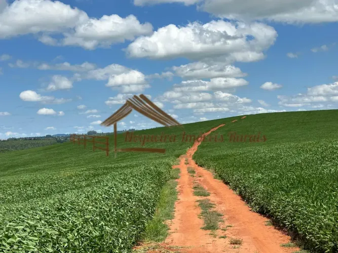 Fazenda à venda com 116 alqueires na região de Carlópolis/PR