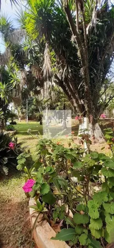 GRANDE Chácara à venda, Chácaras de Recreio Represa, Nova Odessa, SP