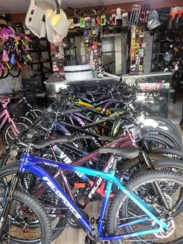 Bicicletas aro 29