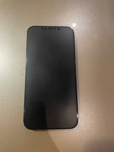 IPHONE 12 PRO MAX - 256 Gb