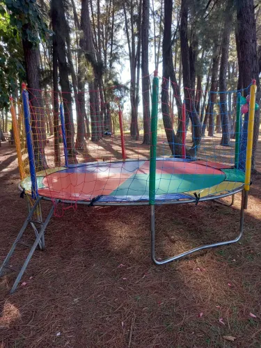 Cama elástica de 3,70