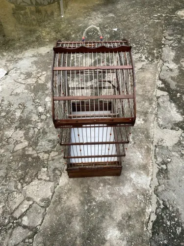 Gaiola 