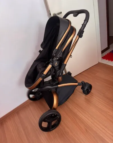 Carrinho de bebê Moisés