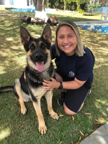 Adestramento de Cães - SJC e região 