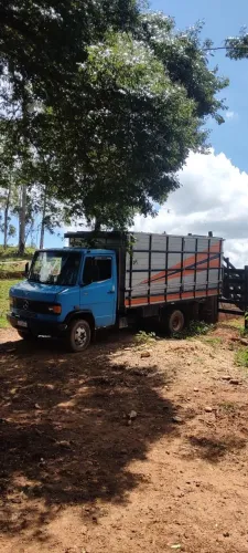 Carroceria boiadeira completa 