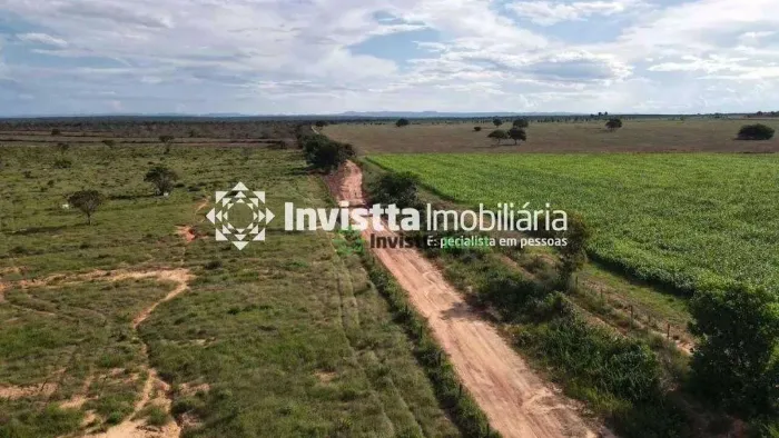 Fazenda de 447 alqueires com dupla aptidão em Palmeirante