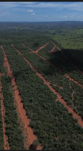 Chácara a venda a 25 Minutos de Montes Claros