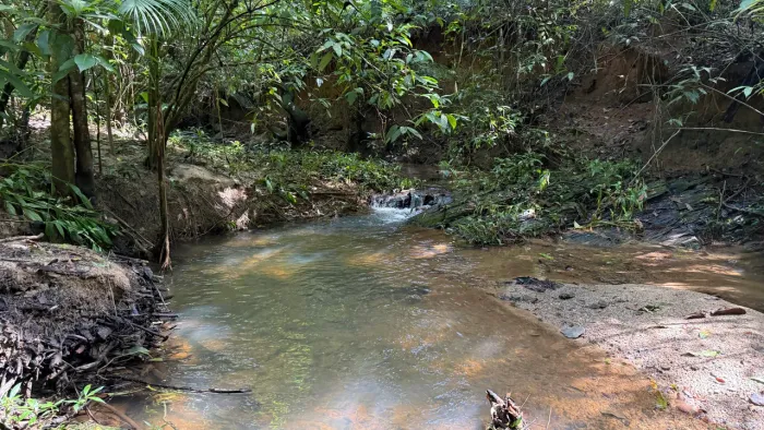 Chácara de 4.500mt com córrego no fundo é muita natureza em Cristianopolis!
