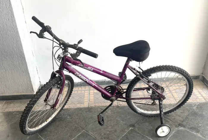 Bicicleta aro 24