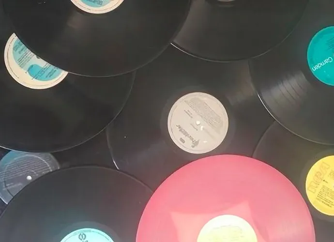 30 Discos Lps para decoração ou artesanato
