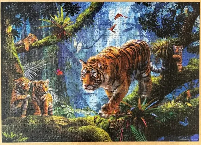 Quebra cabeça Tigres, 1000 peças, importado, marca Educa, seminovo, completo
