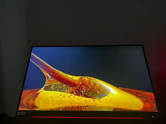 Monitor 360 hz AG24FG usado