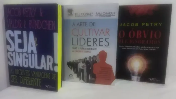 O Óbvio Que Ignoramos A Arte De Cultivar Líderes Seja Singular