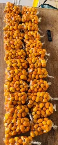 Pequi fresquinho colhido hoje