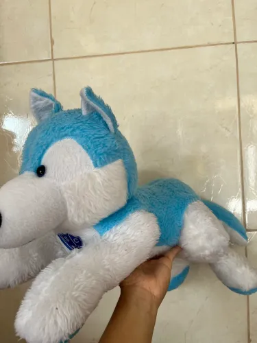 Lobo de pelúcia do Paysandu original 