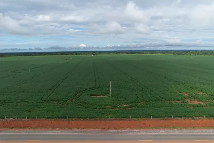 Fazenda dupla aptidão Mato Grosso 