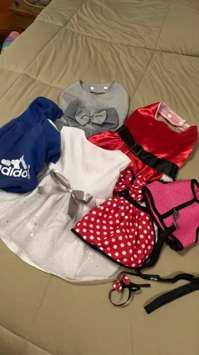 Kit 6 roupas pet pequeno porte 