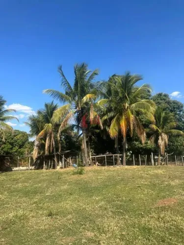Chácara para Venda em Pirapozinho, CHACARA EM PIRAPOZINHO, 3 dormitórios, 1 banheiro, 1 va