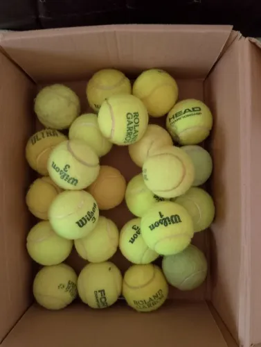 24 Bolas de tênis