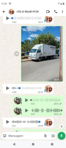 Mudanças guará *
