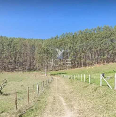 Fazenda de eucalipto à venda com 124 alqueires - alto potencial florestal - Vale do Paraíb