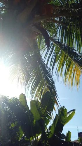 VENDO TERRENO NA MANTEIGA .TAICOCA NOSSSA SENHORA DO SOCORRO