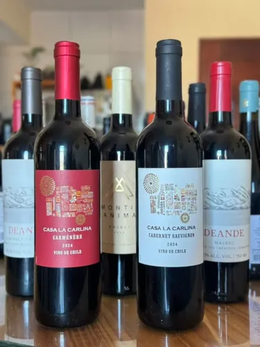 Combo com 5 Vinhos Tintos Sul-americanos | Malbec, Carménère e Cabernet Sauvignon
