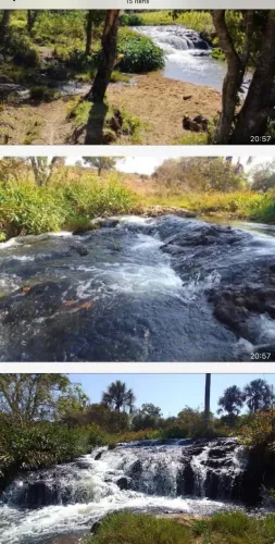 Fazenda em cana região dê Miraporanga 