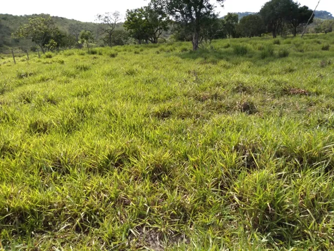 FAZENDA COM 110 ALQUEIRES EM CLARAVAL/MINAS GERAIS