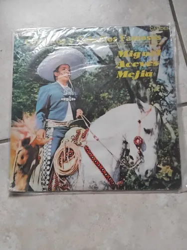 LP Miguel Aceves Mejia