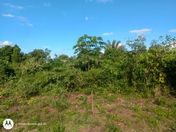 Terreno medindo 20x30, localizado no lago do limão/Iranduba,ramal do jutaí