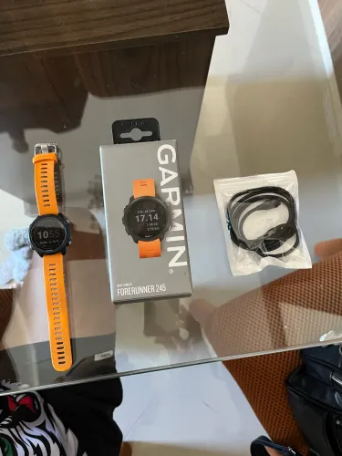 GARMIN 245