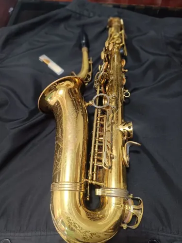 Saxofone alto DHOLFIN curvo