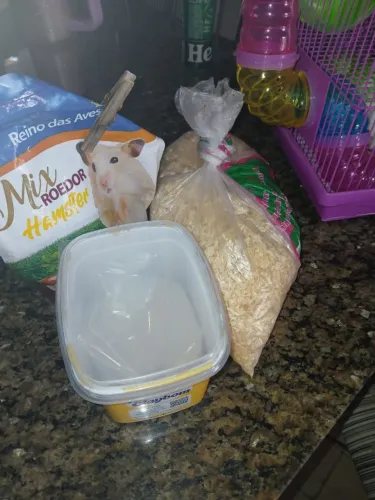 Vendo casa de hamster completo com alguns itens