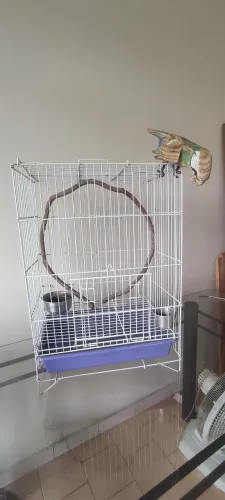 Gaiola grande para pássaros com acessórios