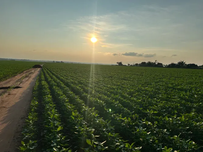Vende-se Fazenda