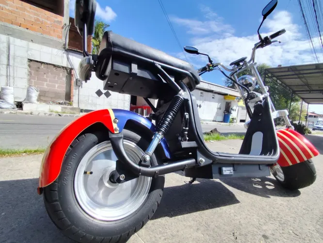 Scooter Elétrica Citycoco Estilo Harley - 2772 km