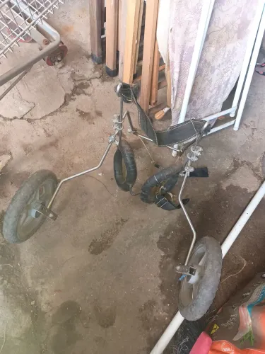 Doação Cadeira de rodas para cachorro grande 