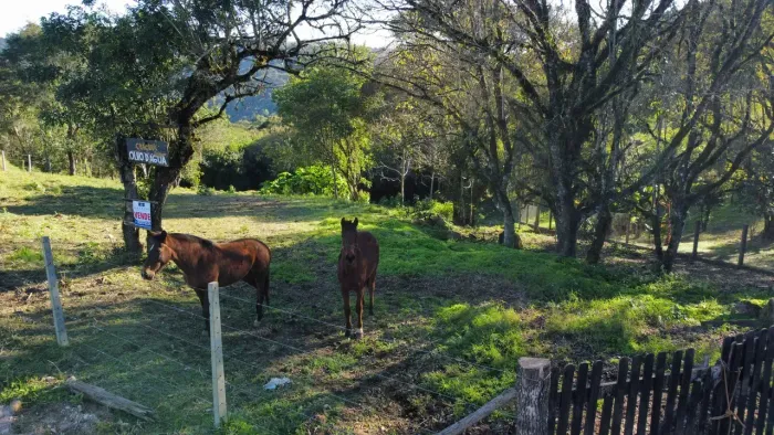 Chácara formar 20.000m2 Campo Largo, Bateias, 800m asfalto Mercearia Travensolli, fundos r