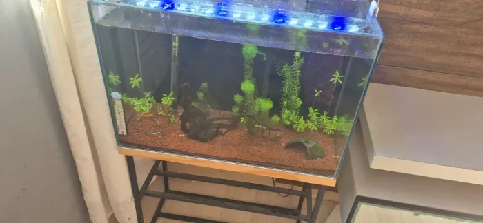 Aquário completo 80l.