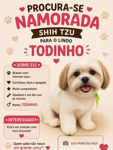 Procuro namorada 