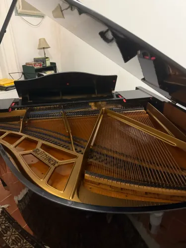 Piano Blüthner 1/4 cauda 