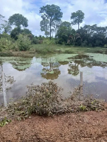Fazenda Estrada de Altazes