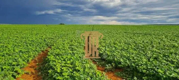 FAZENDA DE OPORTUNIDADE EM CRISTALINA GO